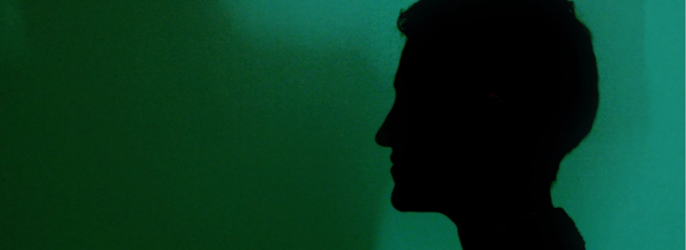 silhouette of a woman with short hair on the ghost shadows wall background