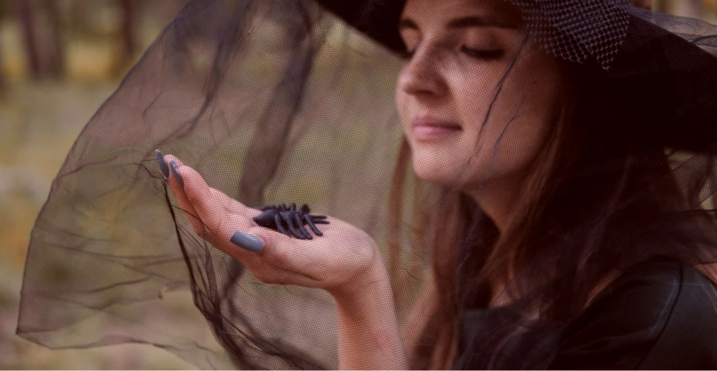 Online Therapy for Fear of Spiders